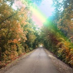 Colors Of Fall Ride 2016